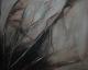 BAMBOO II - Sabine Jacob-Reicherdt - Acryl auf Leinwand - Abstrakt - Abstrakt BAMBOO II - Sabine Jacob-Reicherdt - Acryl auf Leinwand - Abstrakt - Abstrakt