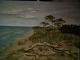 Am Weststrand - Gerda Heitmann - Acryl auf Leinwand - Landschaft - Klassisch Am Weststrand - Gerda Heitmann - Acryl auf Leinwand - Landschaft - Klassisch
