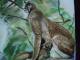 Luchs mit Jungem - helen neumann - Ãl auf Leinwand - Tiere-Wald-Frauen - Klassisch Luchs mit Jungem - helen neumann - Ãl auf Leinwand - Tiere-Wald-Frauen - Klassisch