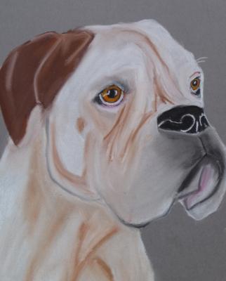 Anton - Anneke Freudenberger - Array auf Array - Array - Array Anton - Anneke Freudenberger - Array auf Array - Array - Array