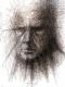 Portrait 1 - Hajo Pitzner - - auf - Portrait - Portrait 1 - Hajo Pitzner - - auf - Portrait -
