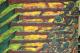 forest - dirk provoost - Acryl auf Leinwand - Landschaft - forest - dirk provoost - Acryl auf Leinwand - Landschaft -