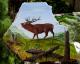 Hirsch - Radka Klara Bergner - Acryl auf - Tiere - Fotorealismus Hirsch - Radka Klara Bergner - Acryl auf - Tiere - Fotorealismus
