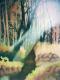 Märchenwald I - Daniela Hartmann - Ãl auf Leinwand - Landschaft - Klassisch Märchenwald I - Daniela Hartmann - Ãl auf Leinwand - Landschaft - Klassisch