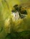 süÃer Nektar - Katja Lamprecht - Acryl auf Leinwand - Insekten - Gegenständlich süÃer Nektar - Katja Lamprecht - Acryl auf Leinwand - Insekten - Gegenständlich