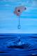 Wasser Gottes Geschenk--- - Maria Abt - Acryl auf Leinwand - Abstrakt - Surrealismus Wasser Gottes Geschenk--- - Maria Abt - Acryl auf Leinwand - Abstrakt - Surrealismus
