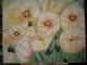 Summerpoppy´s - Christiane Hauschild - Acryl auf Leinwand - Blumen - Summerpoppy´s - Christiane Hauschild - Acryl auf Leinwand - Blumen -