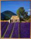Provence - Lavenderfield near Aix-en-Provence - Magdalena Kukla - Acryl auf Leinwand - Landschaft - Klassisch Provence - Lavenderfield near Aix-en-Provence - Magdalena Kukla - Acryl auf Leinwand - Landschaft - Klassisch
