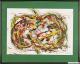 bunter Apfel, gerahmt - Christine Graf - Acryl auf Papier - Abstrakt - Klassisch bunter Apfel, gerahmt - Christine Graf - Acryl auf Papier - Abstrakt - Klassisch