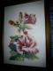 Copic-style - c. lemke - auf - Blumen - Copic-style - c. lemke - auf - Blumen -