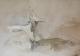 01 - Margit W. - Acryl auf Leinwand - Abstrakt - Abstrakt 01 - Margit W. - Acryl auf Leinwand - Abstrakt - Abstrakt