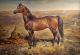 Pferd - Natalia Bastrykina - auf - Tiere - Pferd - Natalia Bastrykina - auf - Tiere -
