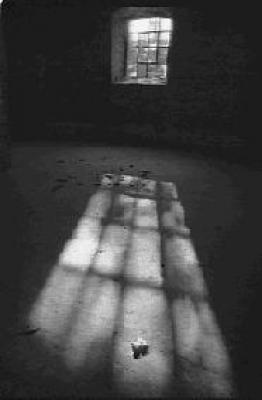 Lichtblick - Zyklop - auf - Array - Lichtblick - Zyklop - auf - Array -