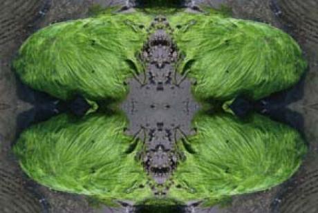 Steine im Mantel - megado - auf - Array - Steine im Mantel - megado - auf - Array -