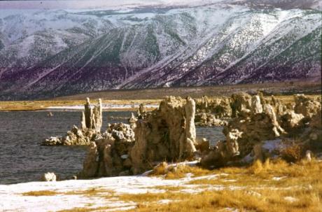 Monolake - Xmas - auf - Array - Monolake - Xmas - auf - Array -