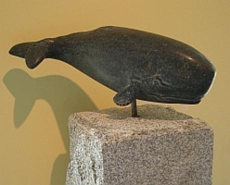 Sperm Whale - Thomas Berger - auf - Array - Sperm Whale - Thomas Berger - auf - Array -