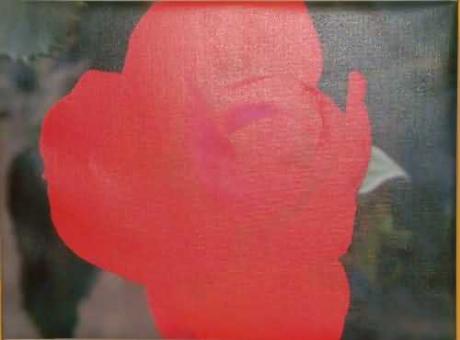 Rose - sonnenlicht - auf - Array - Rose - sonnenlicht - auf - Array -