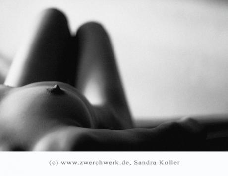 Teilakt, Teile eines weiblichen Körper - zwerchwerk - auf - Array - Teilakt, Teile eines weiblichen Körper - zwerchwerk - auf - Array -