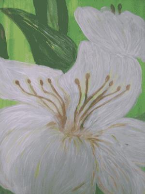 Weiße Blume - Syl - Array auf Array - Array - Weiße Blume - Syl - Array auf Array - Array -