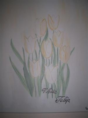 white Tulip - Gabi - Array auf Array - Array - white Tulip - Gabi - Array auf Array - Array -