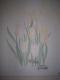 white Tulip - Gabi - Acryl auf Leinwand - Sonstiges - white Tulip - Gabi - Acryl auf Leinwand - Sonstiges -