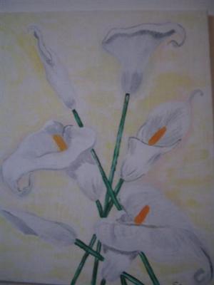 Callas - Gabi - Array auf Array - Array - Callas - Gabi - Array auf Array - Array -