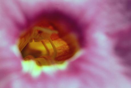 Visitors welcome - Dirk Christians - auf - Array - Visitors welcome - Dirk Christians - auf - Array -