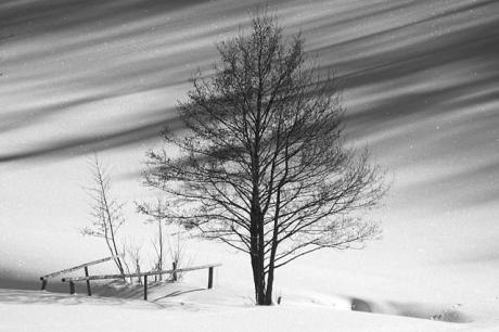 Schatten - Spiel 01 - C.Hillinger - auf - Array - Schatten - Spiel 01 - C.Hillinger - auf - Array -