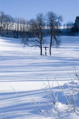 Schatten - Spiel 03 - C.Hillinger - auf - Array - Schatten - Spiel 03 - C.Hillinger - auf - Array -