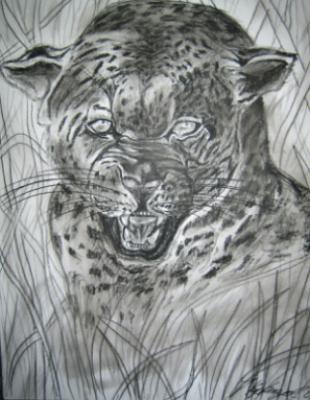 Raubkatze im Gras - Van Kupfernagel - Array auf Array - Array - Raubkatze im Gras - Van Kupfernagel - Array auf Array - Array -