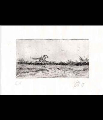 Fliehendes Pferd - Heinz Beilharz - auf - Array - Fliehendes Pferd - Heinz Beilharz - auf - Array -