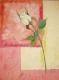 WeiÃe Rose - Lena Wanner - Acryl auf Leinwand - Sonstiges-Rosen - WeiÃe Rose - Lena Wanner - Acryl auf Leinwand - Sonstiges-Rosen -