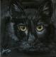Aufmerksam - Annett Tropschug - Acryl auf Leinwand - Katzen - Fotorealismus-Realismus Aufmerksam - Annett Tropschug - Acryl auf Leinwand - Katzen - Fotorealismus-Realismus