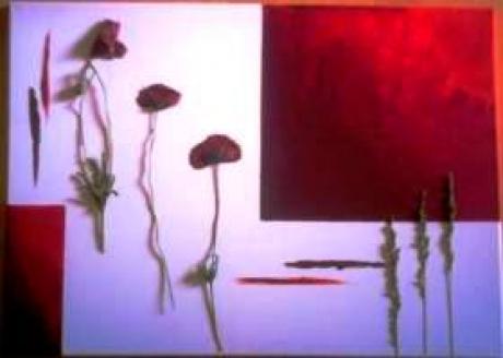 Roter Mohn - Haschberger - Array auf Array - Array - Roter Mohn - Haschberger - Array auf Array - Array -