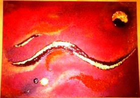 modern swing - Haschberger - Array auf Array - Array - modern swing - Haschberger - Array auf Array - Array -