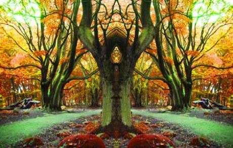 Guard - Pan - auf - Array - Guard - Pan - auf - Array -