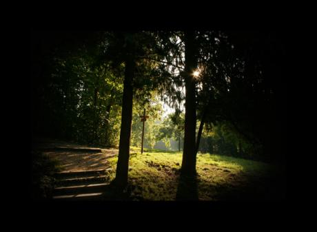 welchen Weg? -  R.Lechner -  auf  - Array - 