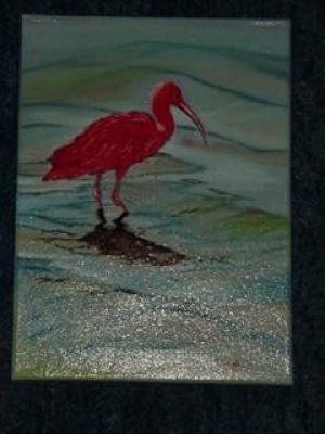 Scarlet Ibis - NEPTUN - auf Array - Array - Scarlet Ibis - NEPTUN - auf Array - Array -