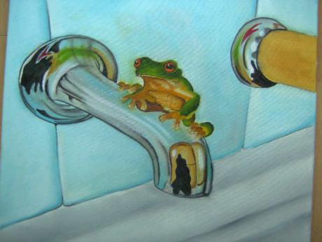 Rotaugenlaubfrosch - NEPTUN - auf Array - Array - Rotaugenlaubfrosch - NEPTUN - auf Array - Array -