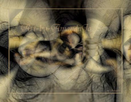 Roots No-1 - AmandaJo - auf - Array - Roots No-1 - AmandaJo - auf - Array -