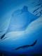 Manta´s - Karin Fricke - Acryl auf Leinwand - Sonstiges - Manta´s - Karin Fricke - Acryl auf Leinwand - Sonstiges -