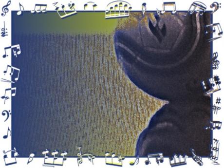 boladecabeca 65 - Orfeu de SantaTeresa - Array auf Array - Array - boladecabeca 65 - Orfeu de SantaTeresa - Array auf Array - Array -