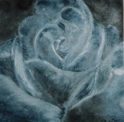 Blaue Rose - Ursula Koch - auf - Array - Blaue Rose - Ursula Koch - auf - Array -