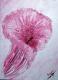 Calla - Prise - auf - Sonstiges - Calla - Prise - auf - Sonstiges -