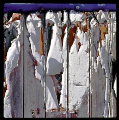 PINGO Zyklus Lack ab. - ZIMANO - auf - Array - PINGO Zyklus Lack ab. - ZIMANO - auf - Array -