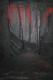 Glut der Leidenschaft - Silvia Eichhorn - Acryl auf Leinwand - Sonstiges - Glut der Leidenschaft - Silvia Eichhorn - Acryl auf Leinwand - Sonstiges -