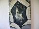 Pferdeportrait mal anders - Maxi - auf - Sonstiges - Pferdeportrait mal anders - Maxi - auf - Sonstiges -