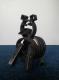 ELMO Hund - M.Klippenstein - auf - Sonstiges-Hunde - ELMO Hund - M.Klippenstein - auf - Sonstiges-Hunde -