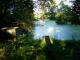 Morast - Frischelinse - auf - Sonstiges - Morast - Frischelinse - auf - Sonstiges -