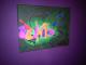 Colors United with Roxx--auf Leinwand - Chico(Graf-x) - Acryl auf Leinwand - Sonstiges-Abstrakt - Abstrakt Colors United with Roxx--auf Leinwand - Chico(Graf-x) - Acryl auf Leinwand - Sonstiges-Abstrakt - Abstrakt
